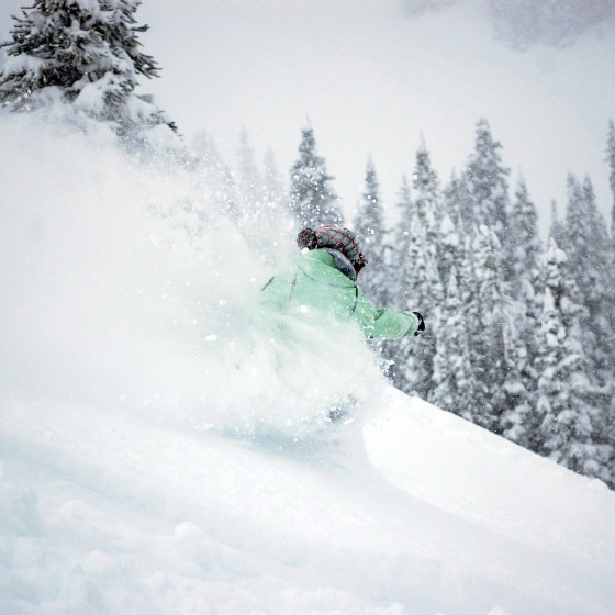 Jasper - Marmot Basin